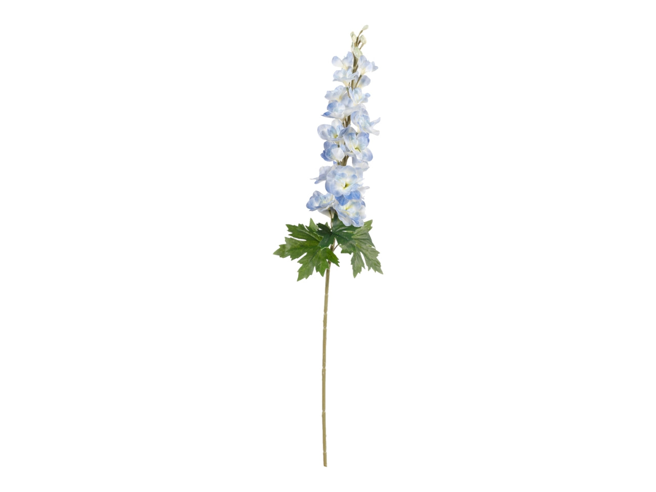 Delphinium ramo 90cm blu