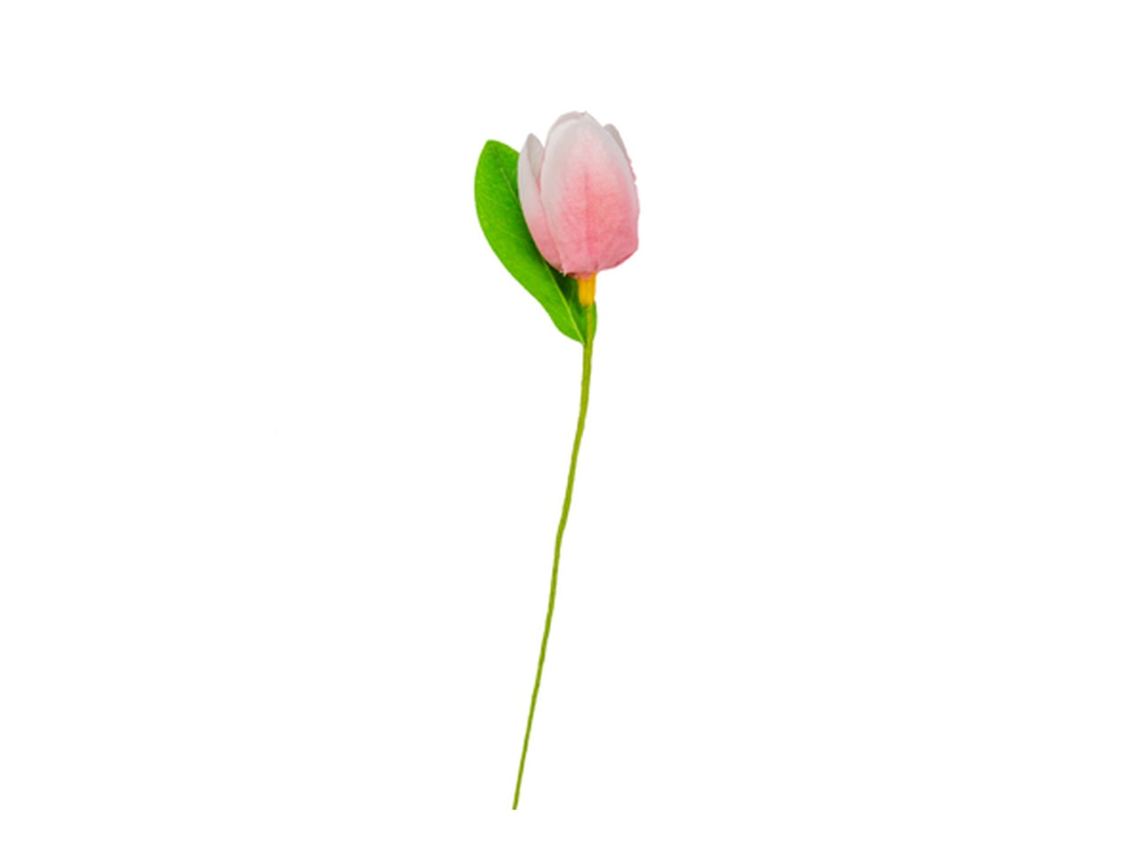 Tulipano malva con foglia in confezione da 36 pezzi