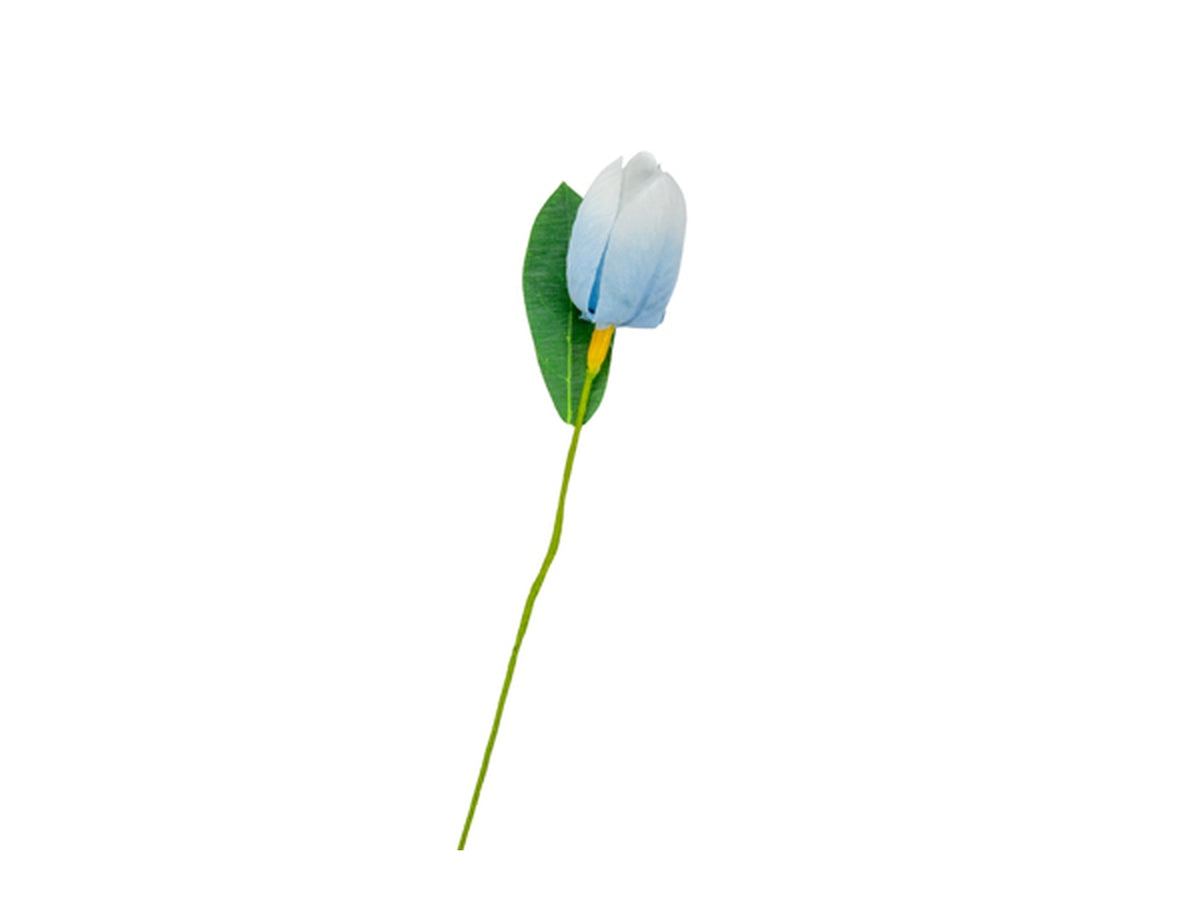 Tulipano celeste con foglia in confezione da 36 pezzi