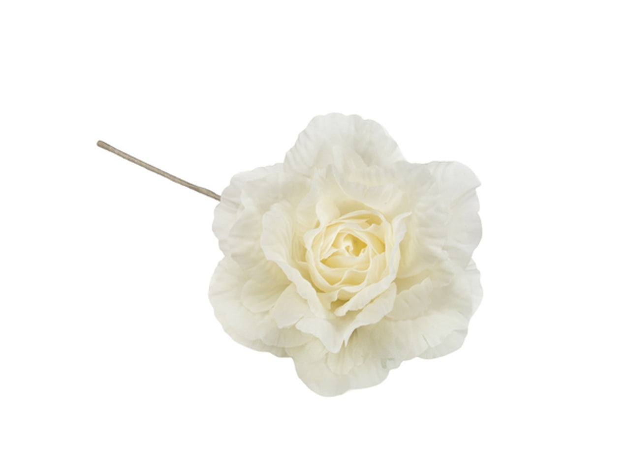 Rosa in organza panna