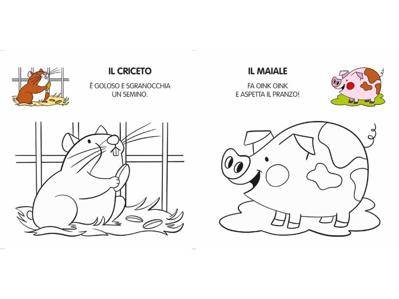Miei primi animali da colorare