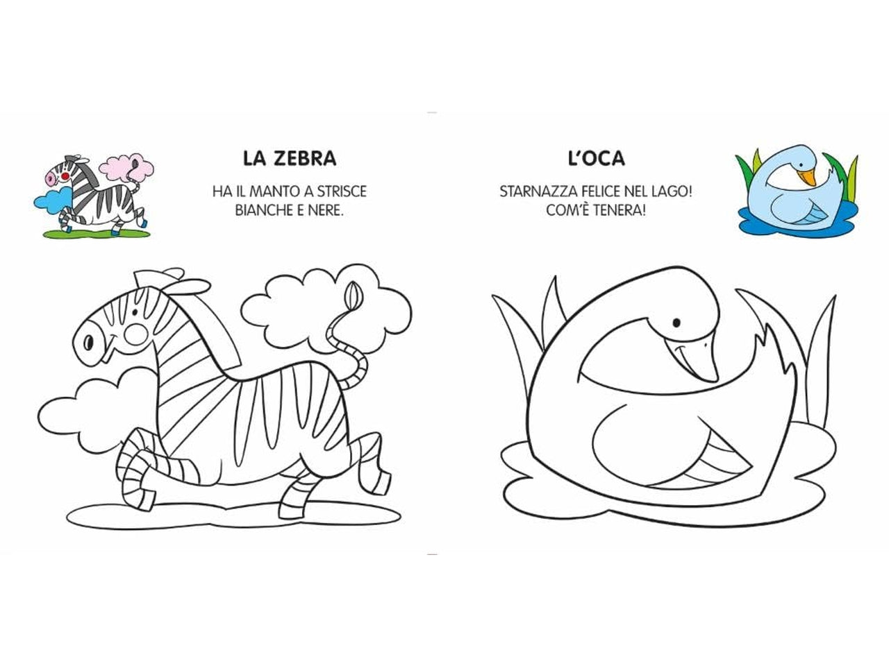 Miei primi animali da colorare