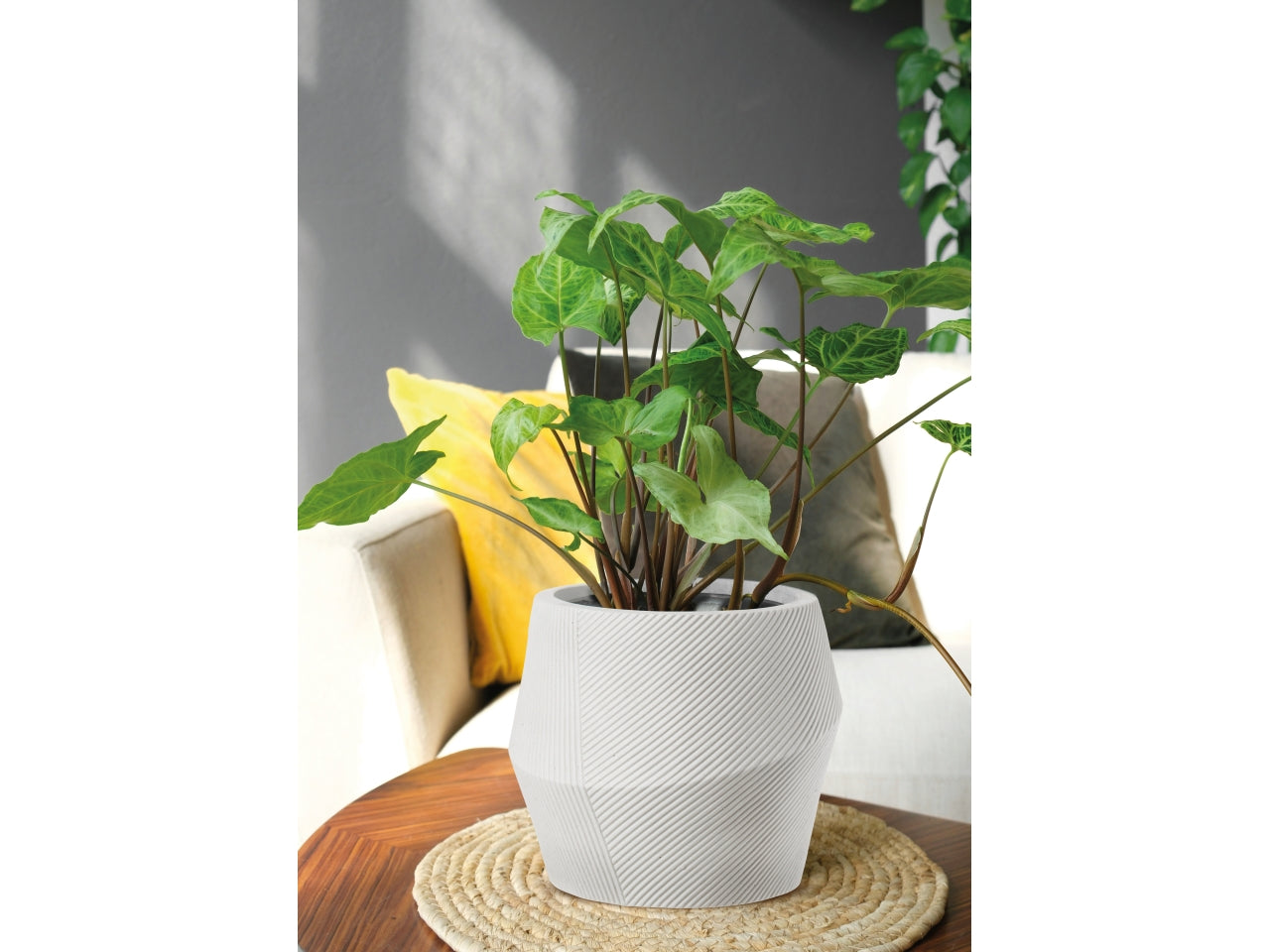 Irok cachepot d.33xh.28cm bianco