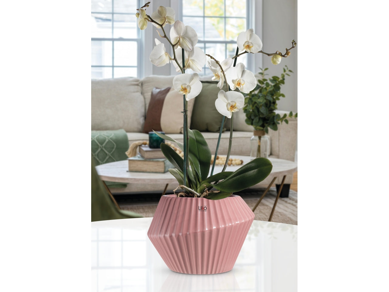 Sauvage Vaso d.26xh.18cm in 4 assortimenti