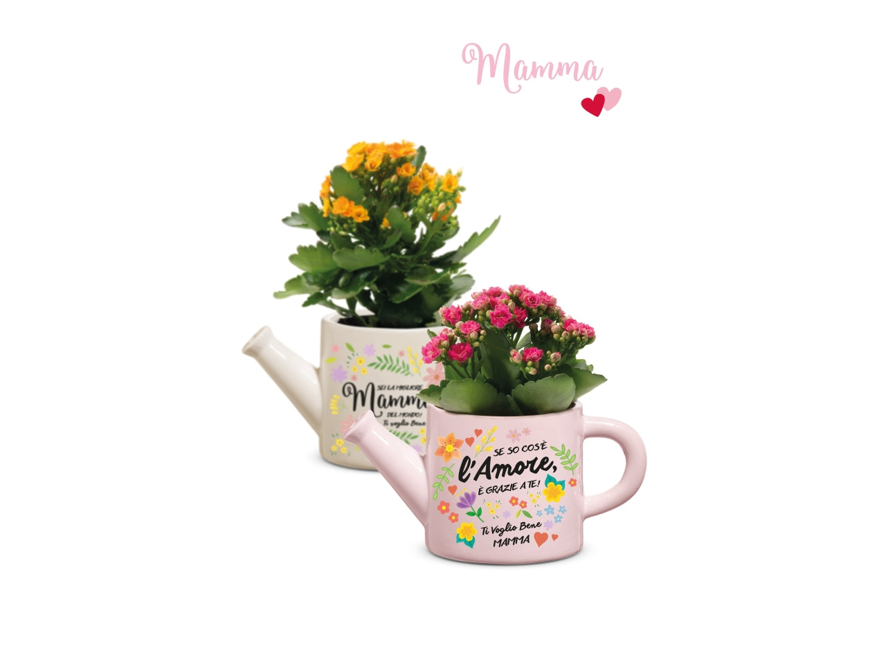 Festa della Mamma vaso annaffiatoio 20,7x11xh.11,8cm in 3 colori assortiti