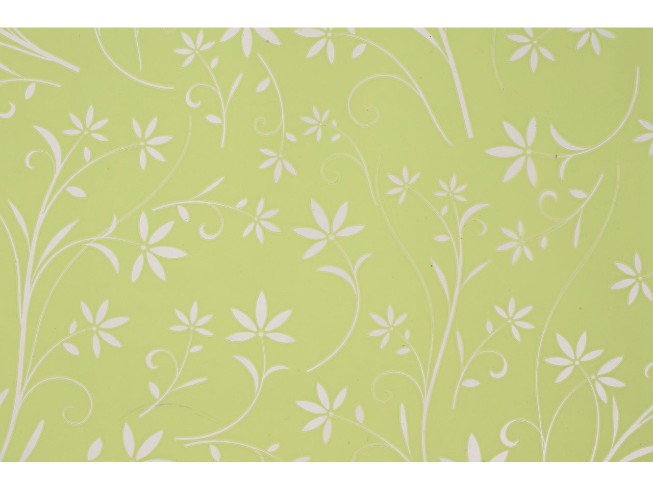 Bobina silhuette fondo pieno e stampa 80cmx40mt verde pastello