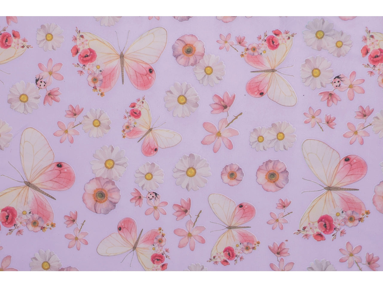 Bobina alissa mat 1x25mt lavanda