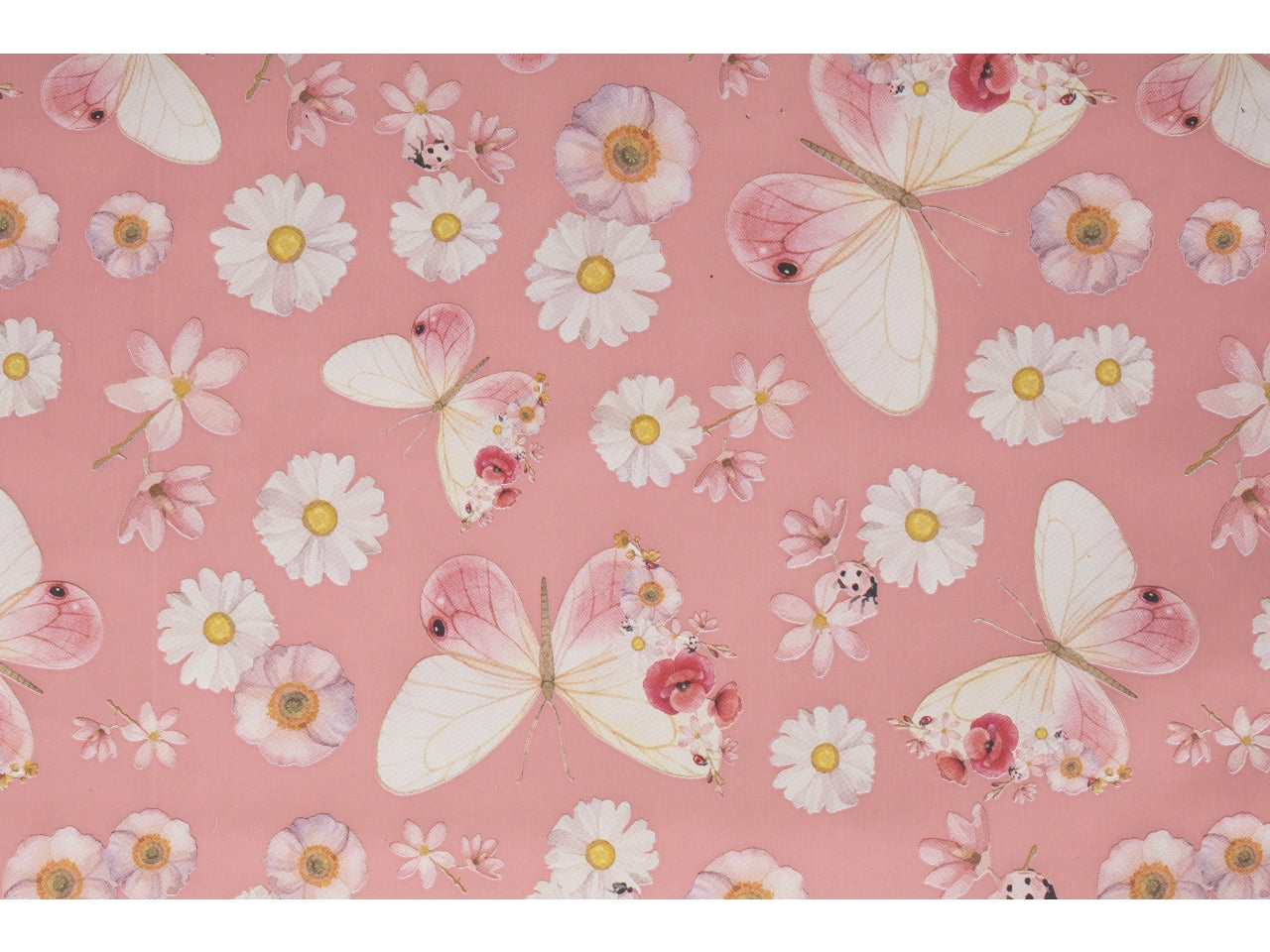 Buste alissa 20x32cm, confezione da 100 pezzi assortite