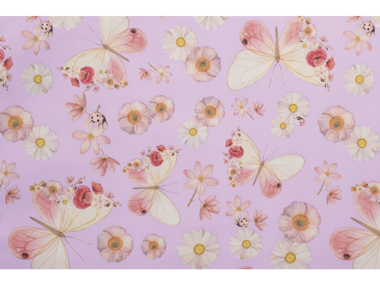 Buste alissa 16x25cm, confezione da 100 pezzi assortite