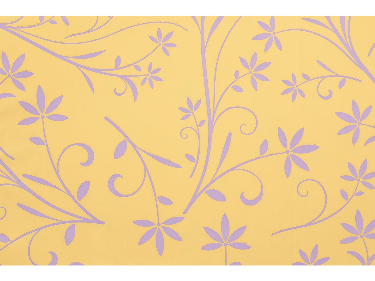 Buste silhouette 16x25cm, confezione da 100 pezzi assortite