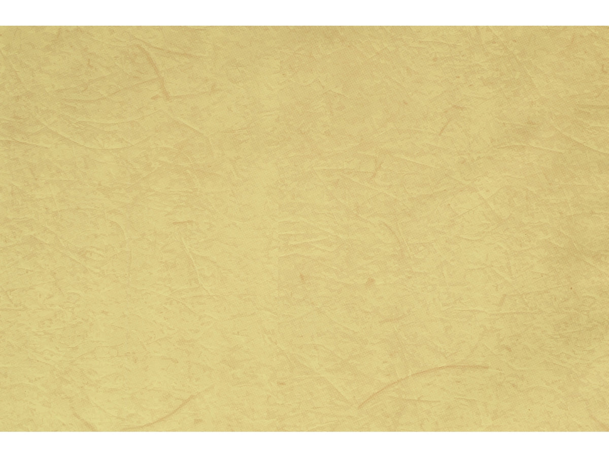 Buste carta gelso 16x25cm, confezione da 100 pezzi assortite