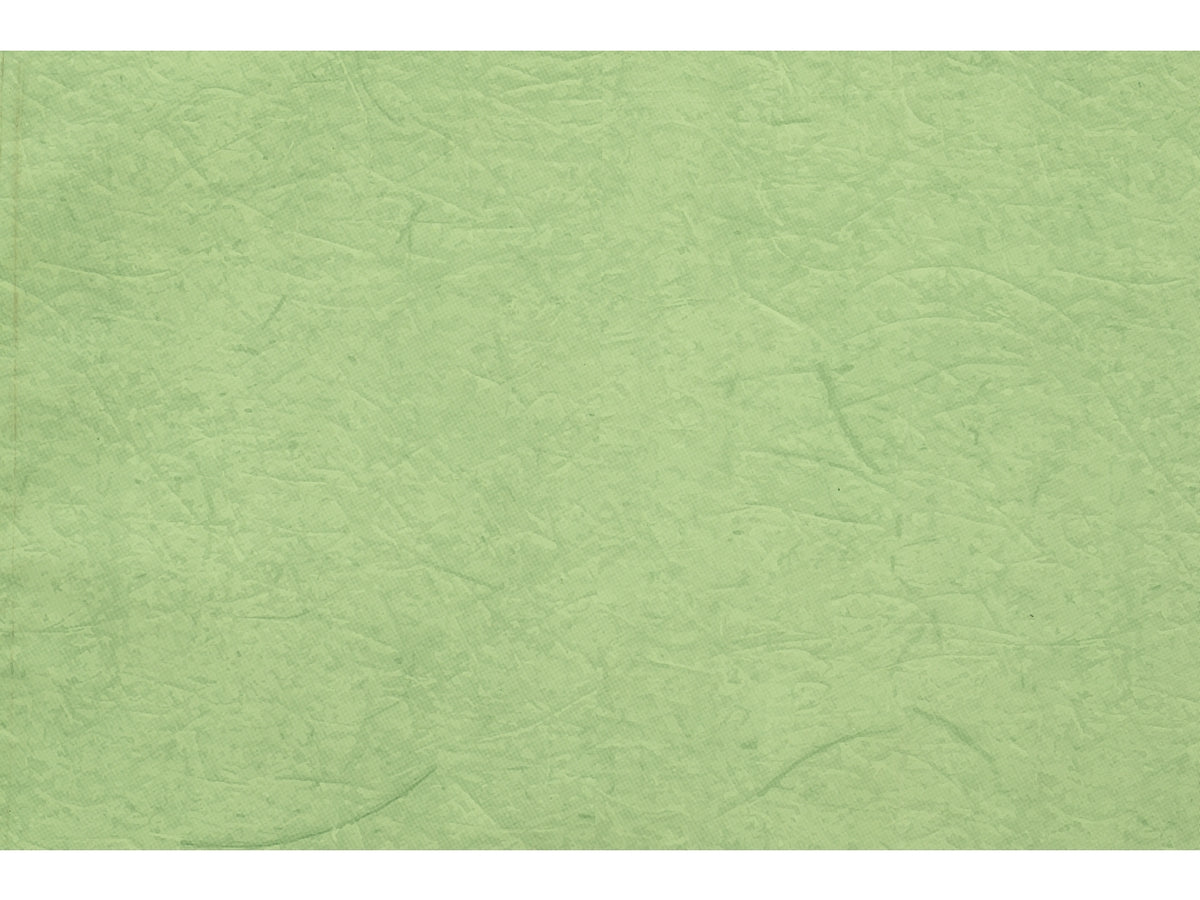 Buste carta gelso 16x25cm, confezione da 100 pezzi assortite