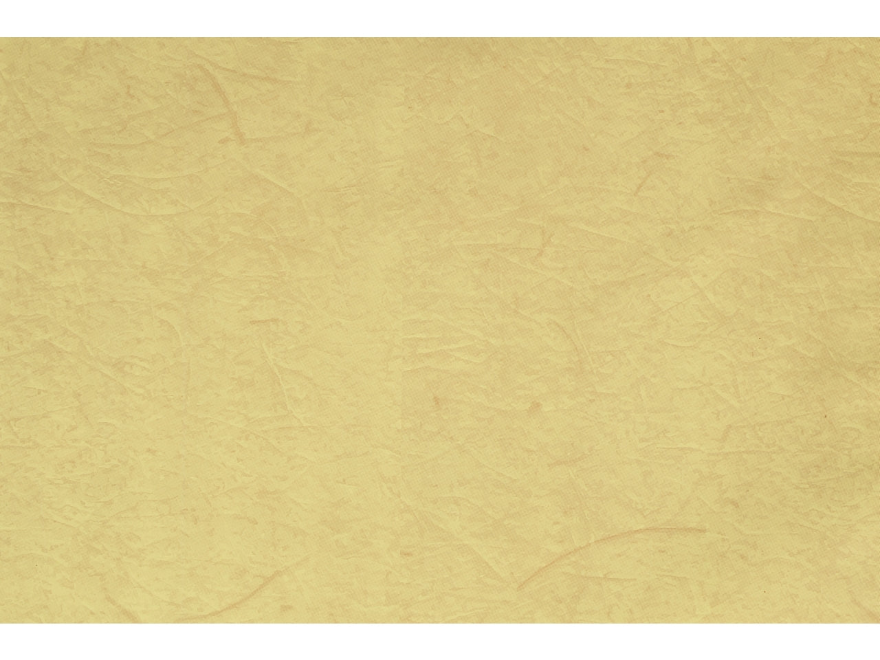 Buste carta gelso 40x65cm, confezione da 50 pezzi assortite