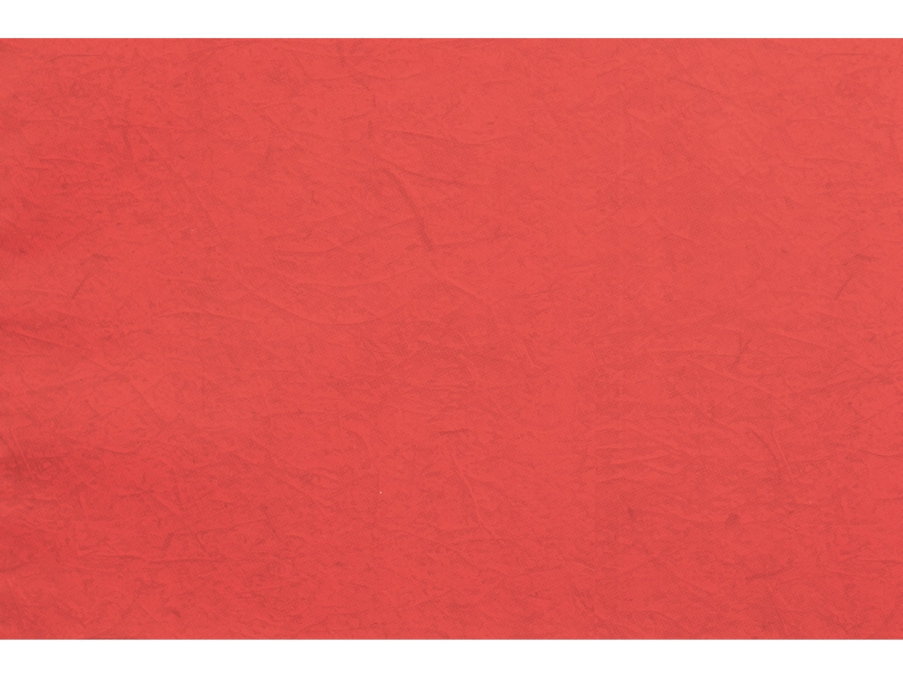 Buste carta gelso 40x65cm, confezione da 50 pezzi assortite