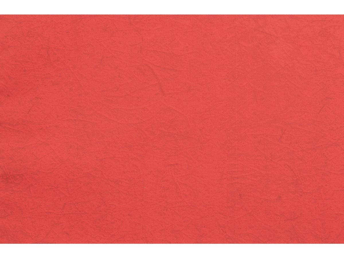 Buste carta gelso 40x65cm, confezione da 50 pezzi assortite