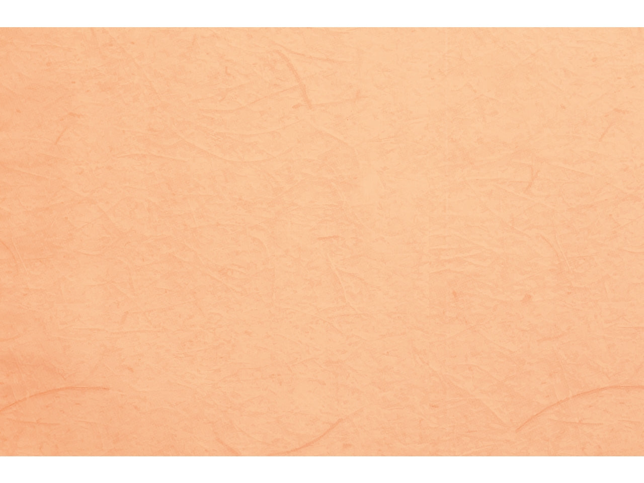 Buste carta gelso 40x65cm, confezione da 50 pezzi assortite