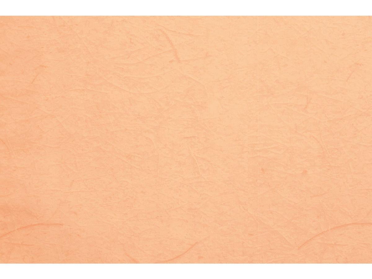Buste carta gelso 40x65cm, confezione da 50 pezzi assortite