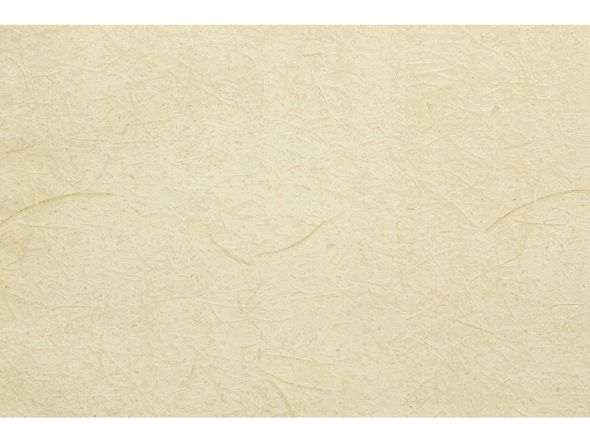 Buste carta gelso 40x65cm, confezione da 50 pezzi assortite