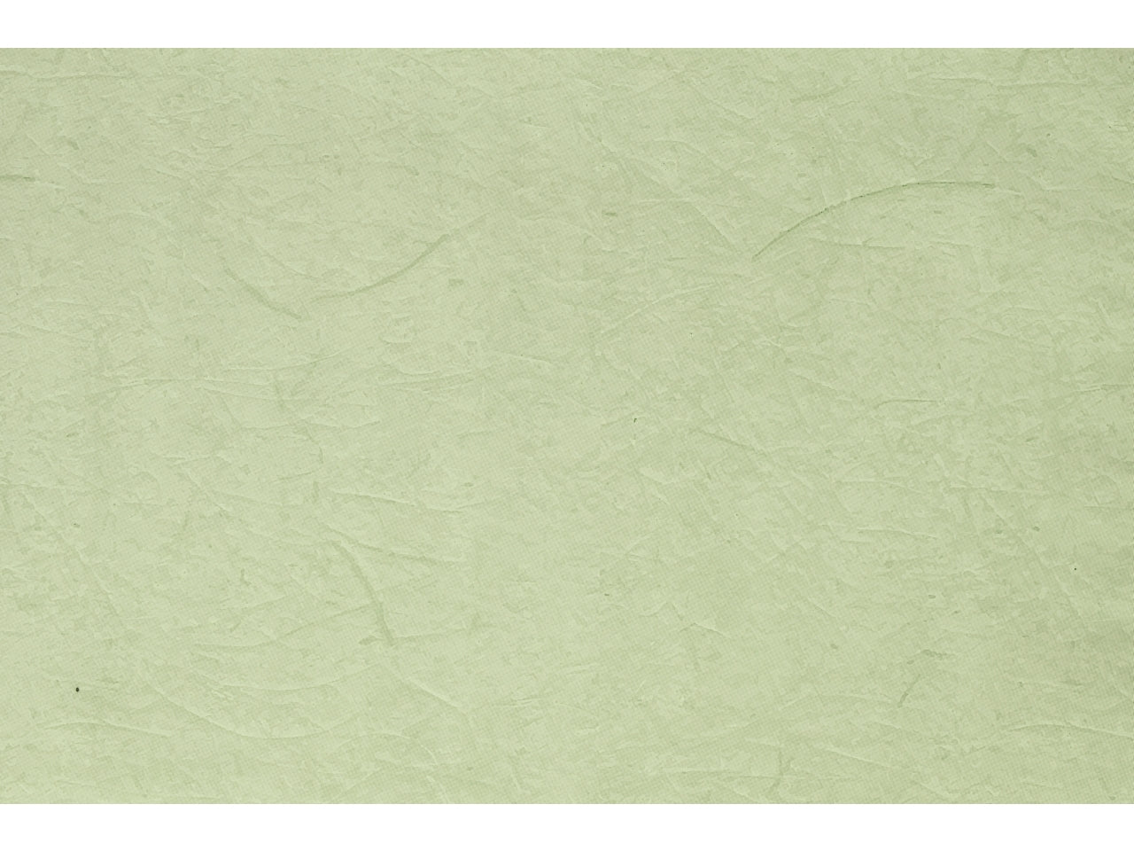 Buste carta gelso 40x65cm, confezione da 50 pezzi assortite