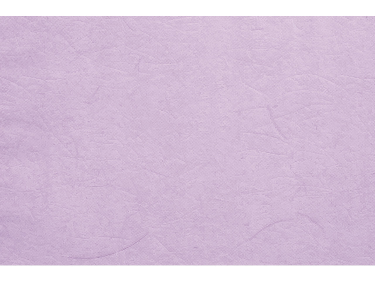 Buste carta gelso 40x65cm, confezione da 50 pezzi assortite