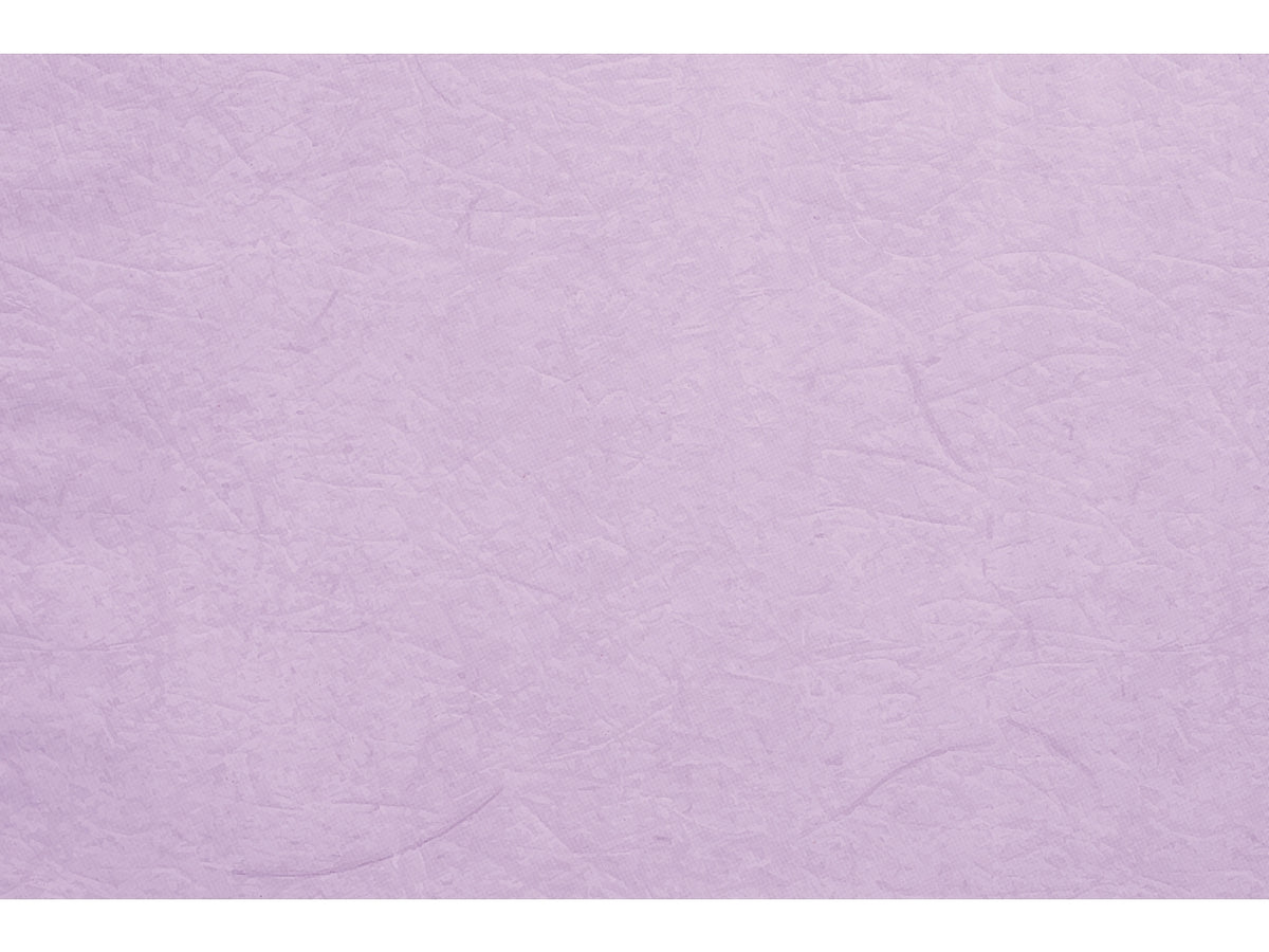 Buste carta gelso 40x65cm, confezione da 50 pezzi assortite