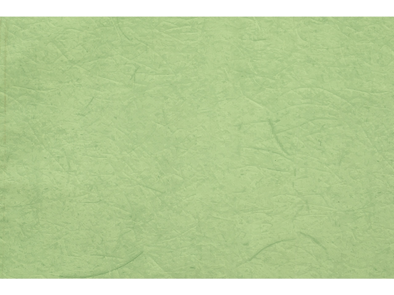 Buste carta gelso 40x65cm, confezione da 50 pezzi assortite