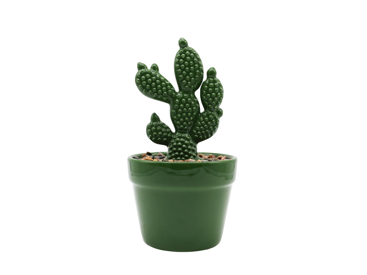 Cactus h.20cm verde scuro