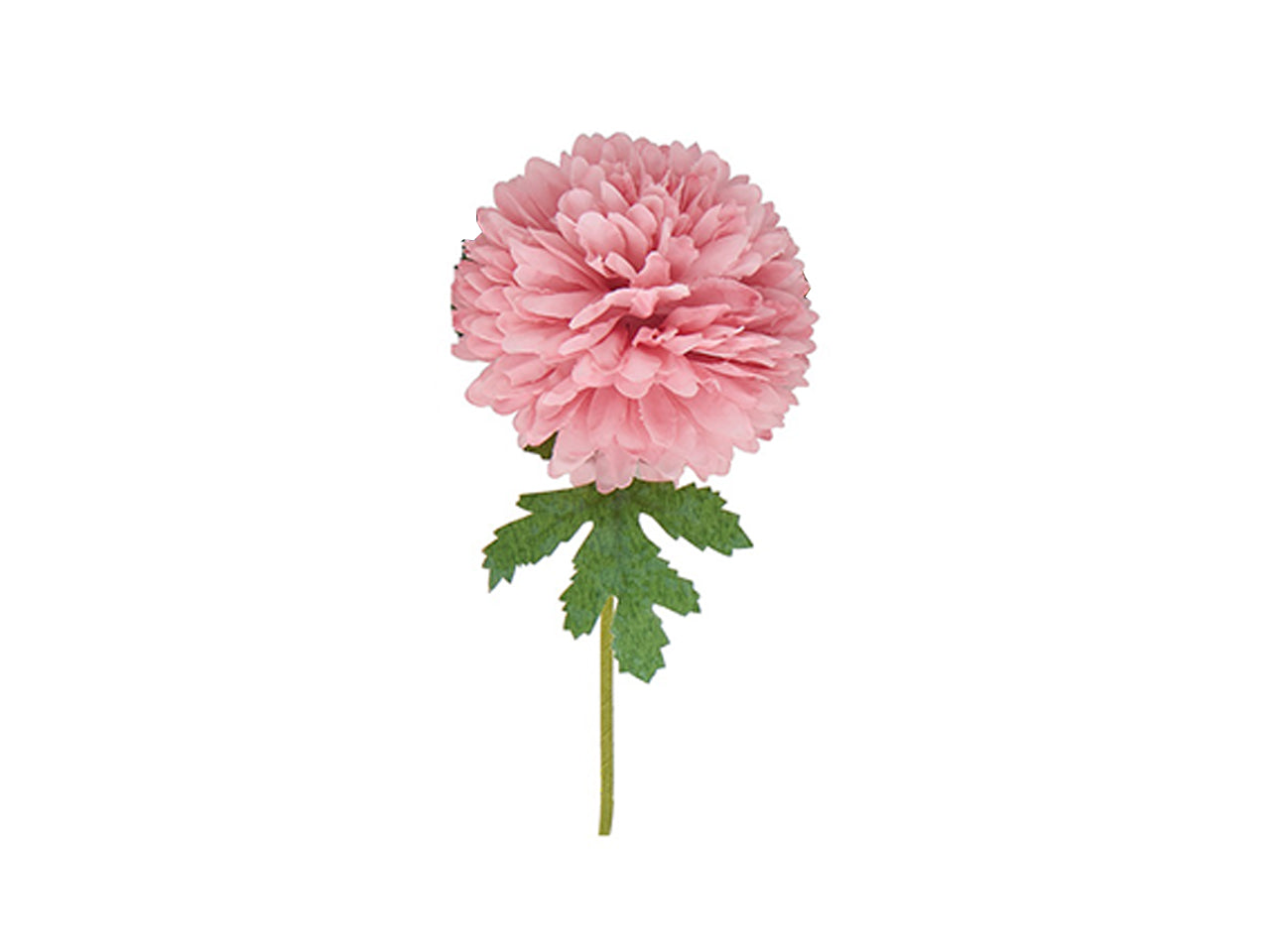 Dalia d.7cm fucsia in confezione da 12 pezzi