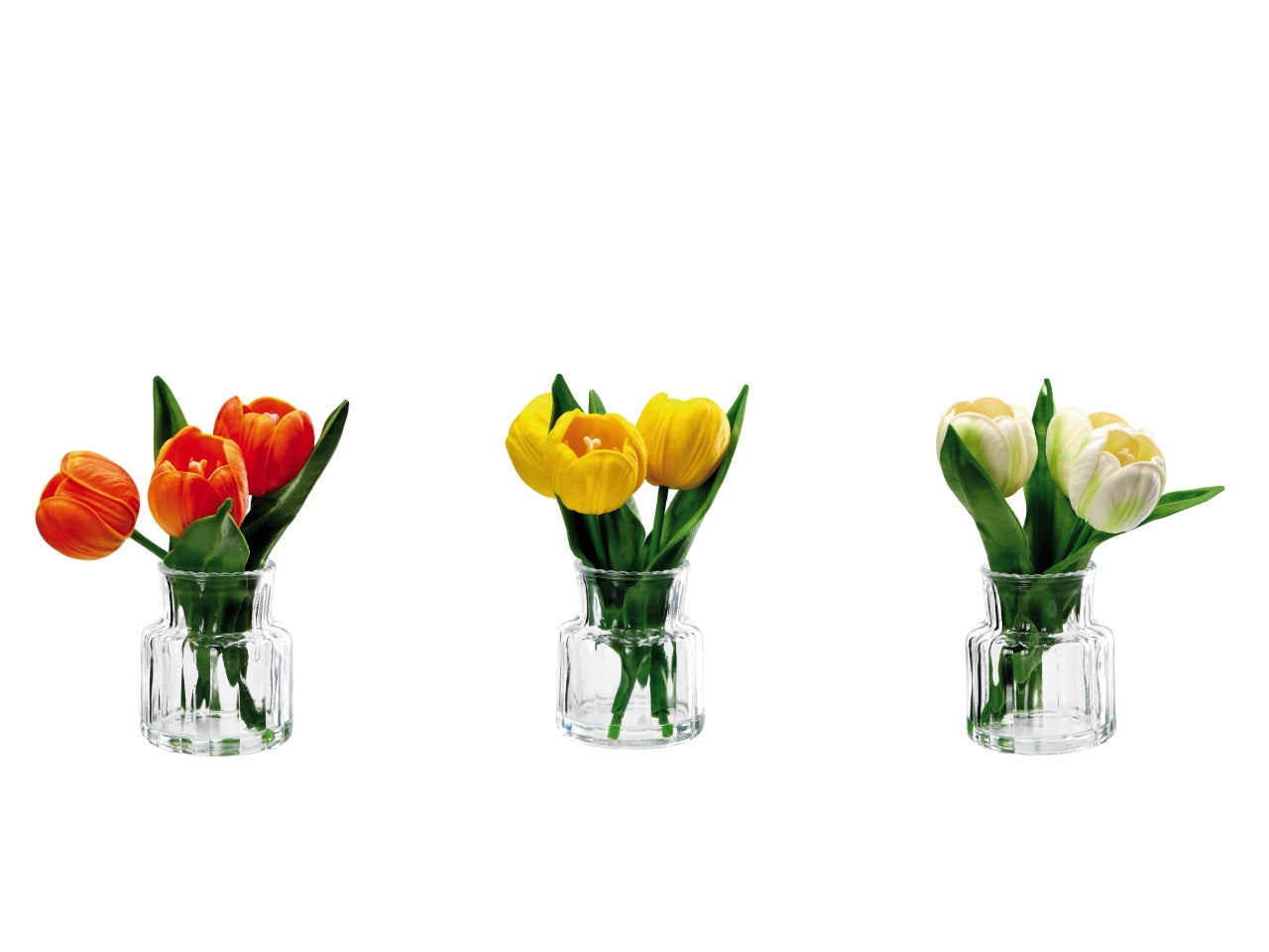 Vaso in vetro con tulipani 7,5x18cm, 3colori assortiti