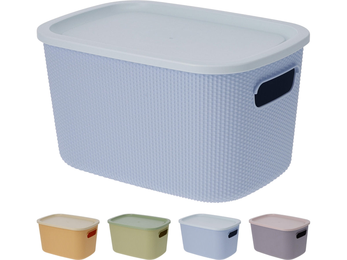 Scatola portaoggetti in PP con coperchio, capacitÃ  6lt, dimensioni 26,5x18,5x15cm e peso 256gr In 4 colori assortiti: verde, giallo, blu e viola.