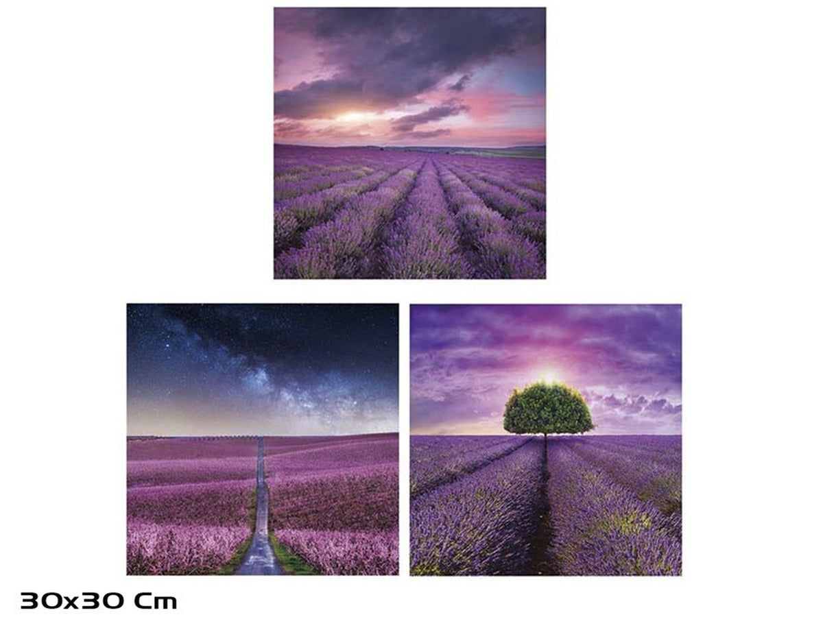 Quadro 30x30cm in 3 assortimenti  $