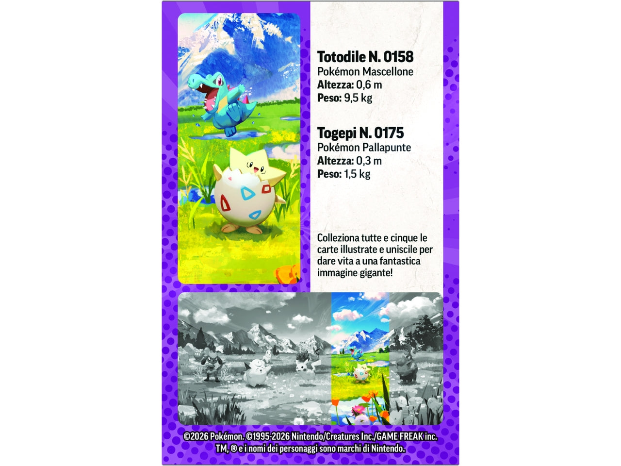 Pokemon M2.5 Minitin da Collezione Megaevoluzione - Ascesa Eroica