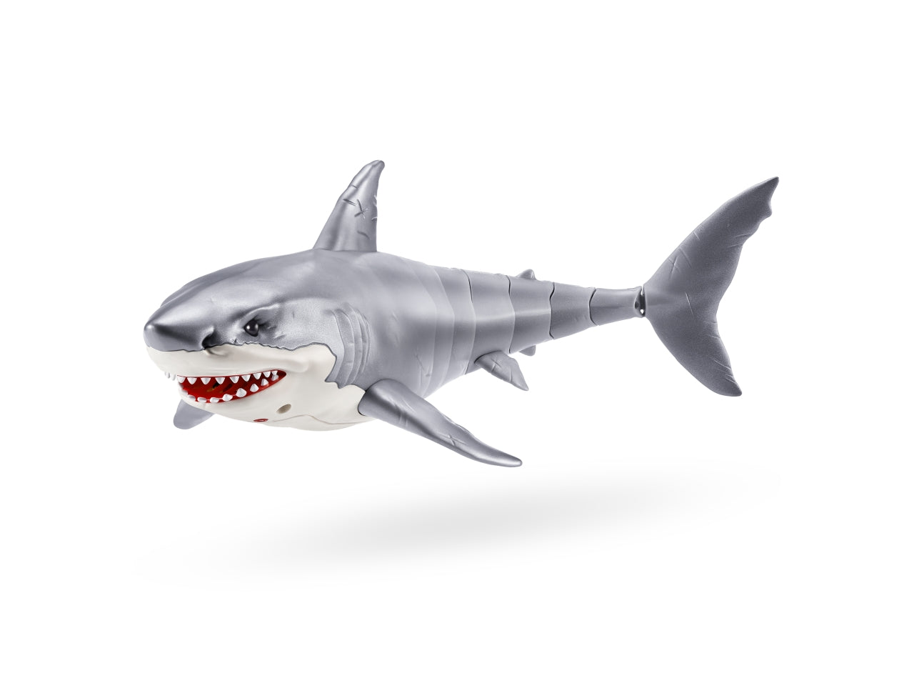 Roba alive shark attack