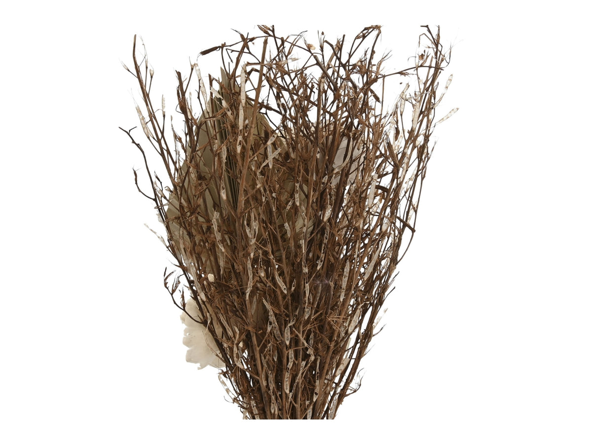 Pianta fiore secco cristallo 11x11x40cm in 3 assortimenti