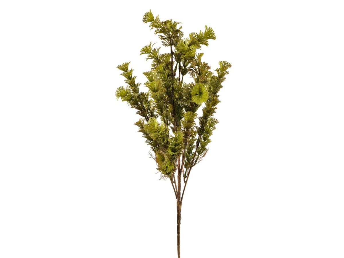 Felce Azolla mazzo da 53cm con 6 rametti verde muschio