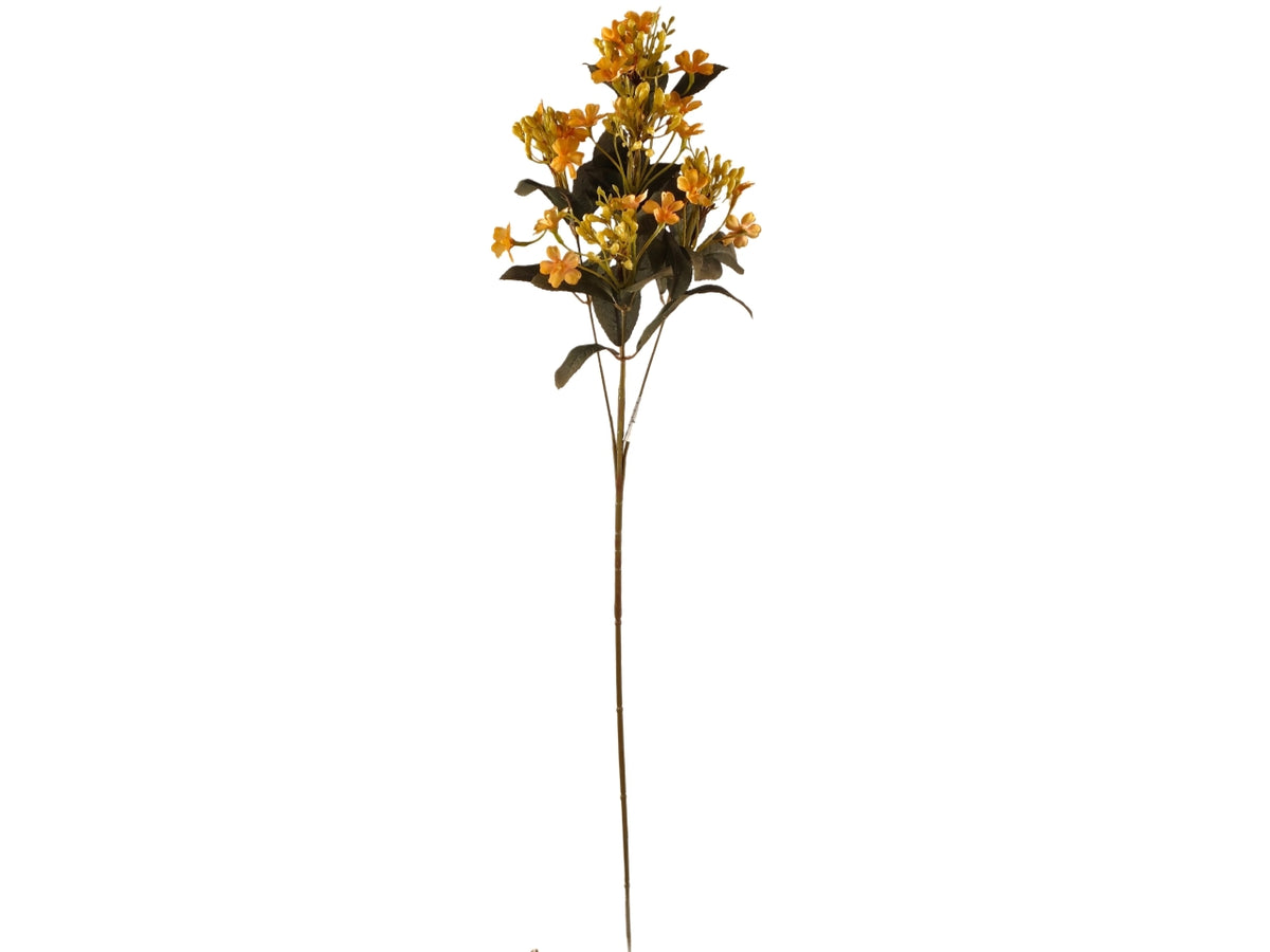 Ramo di fiore di melo giallo