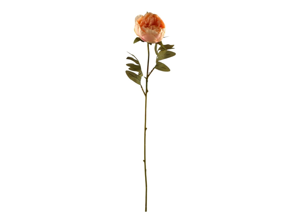 Ramo Peonia singola malva