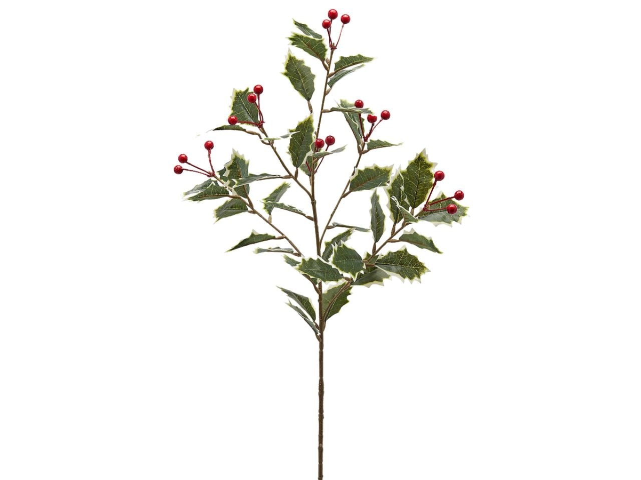 Agrifoglio ramo maxi 75cm in plastica colore bianco e verde