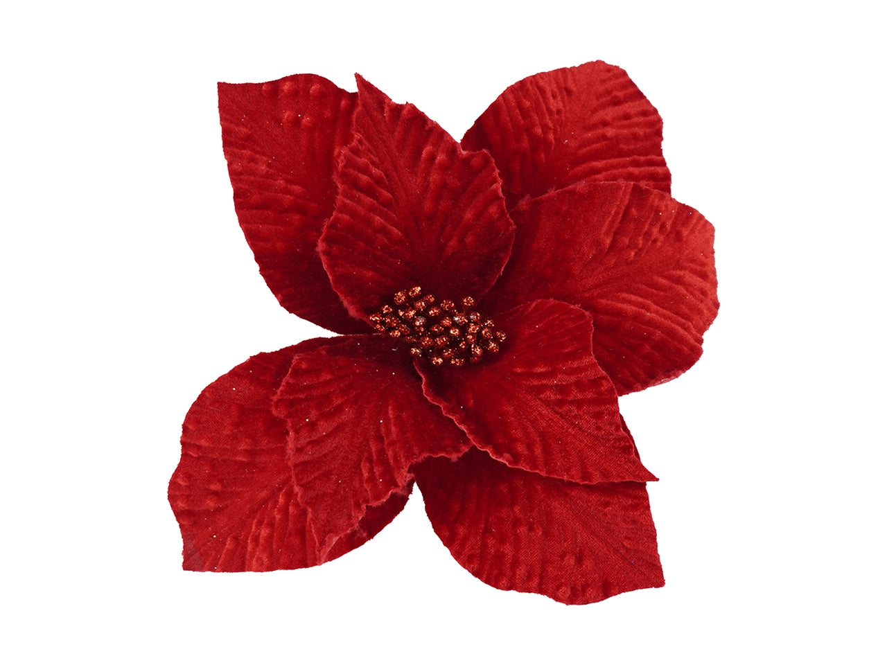 Pick stella di natale 8 petali a gambo corto rosso
