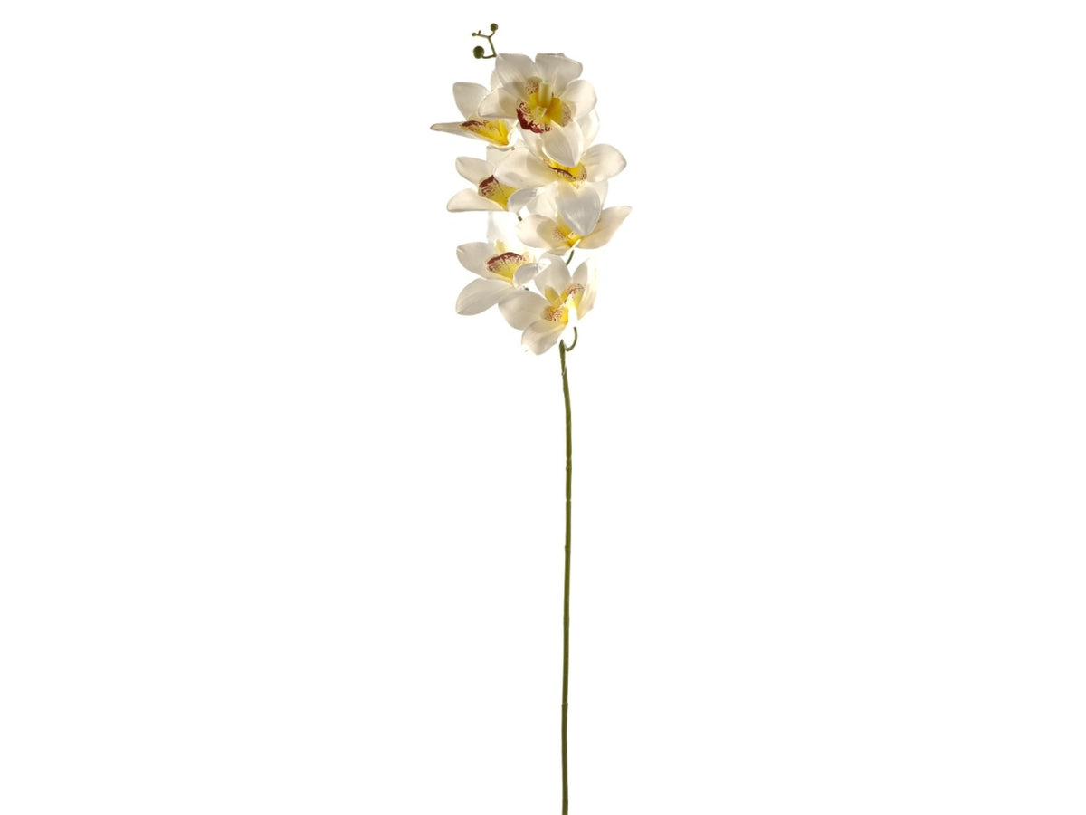 Ramo orchidea 7fiori crema