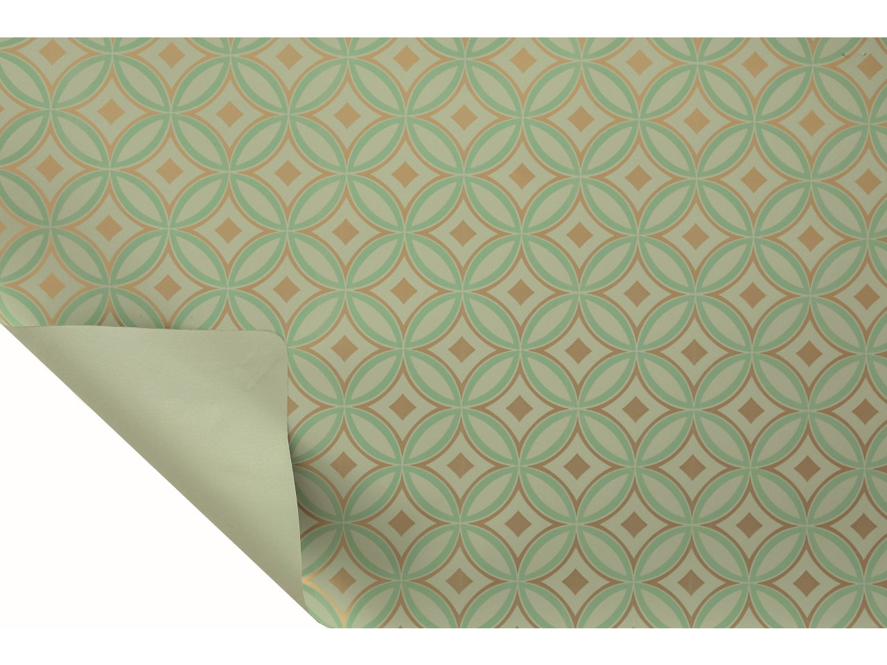 Bobina RetrÃ² 50my 1x25mt double face fantasia e fondo pieno verde