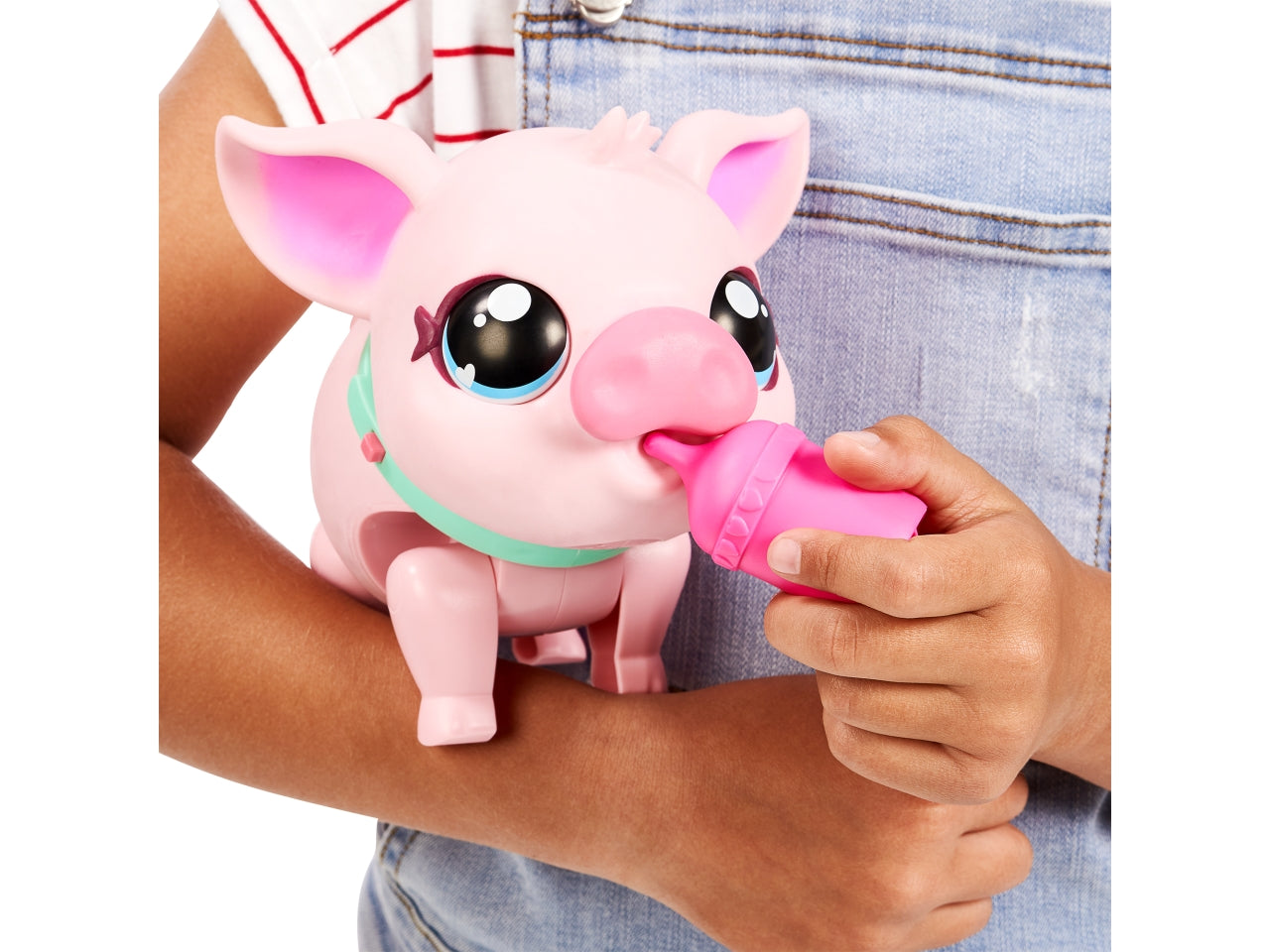 Little live pets piggly