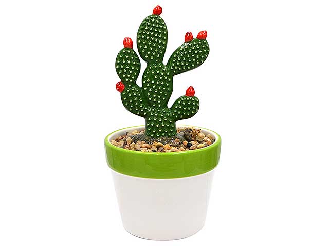 Pianta fico d'india h20cm cta-05