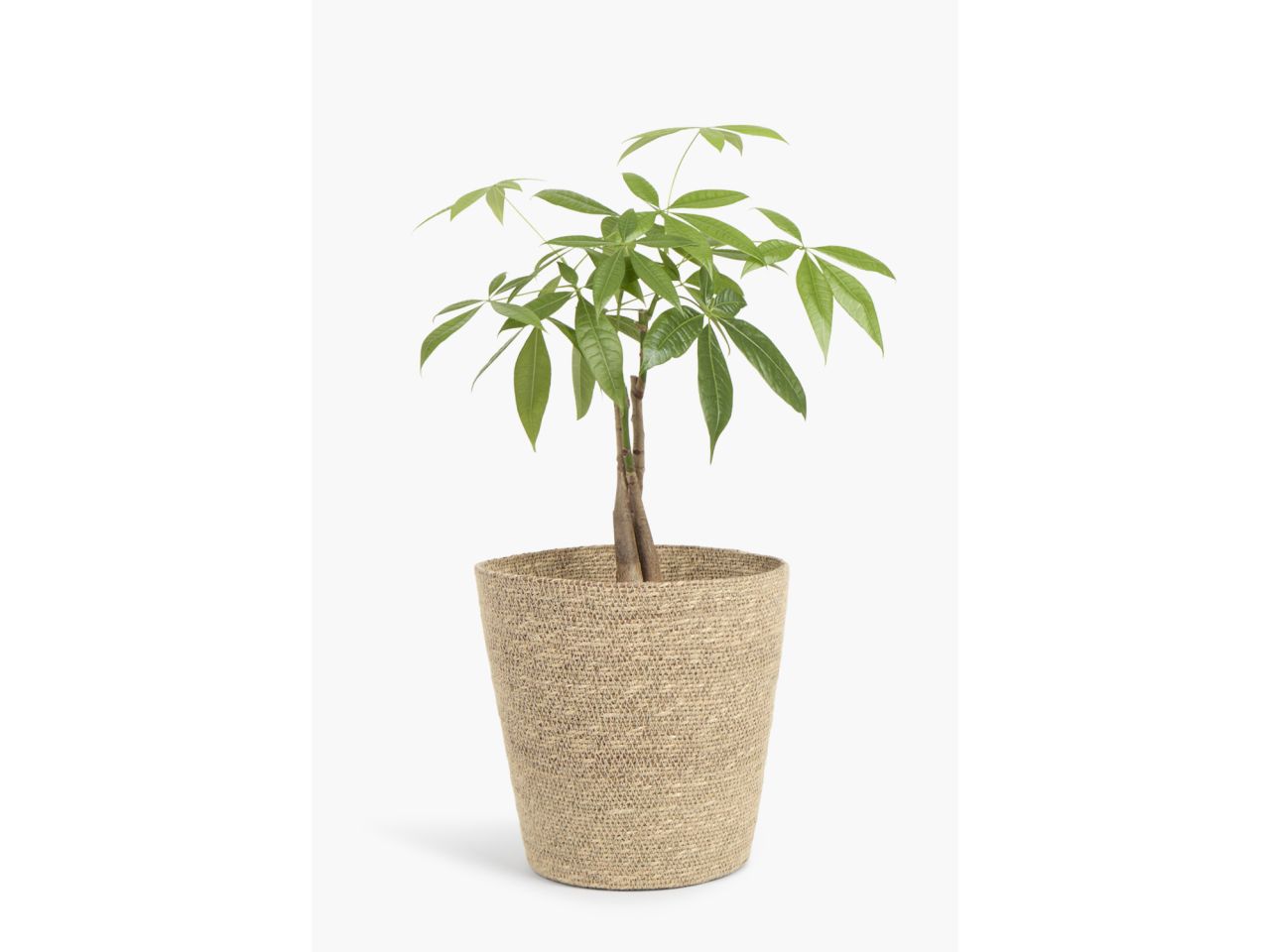 Cesta arakame top d.25xbase d.18x25cm