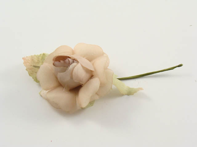 Camelia beige ck/1732bg