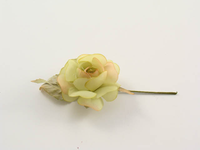 Camelia verde ck/1732v
