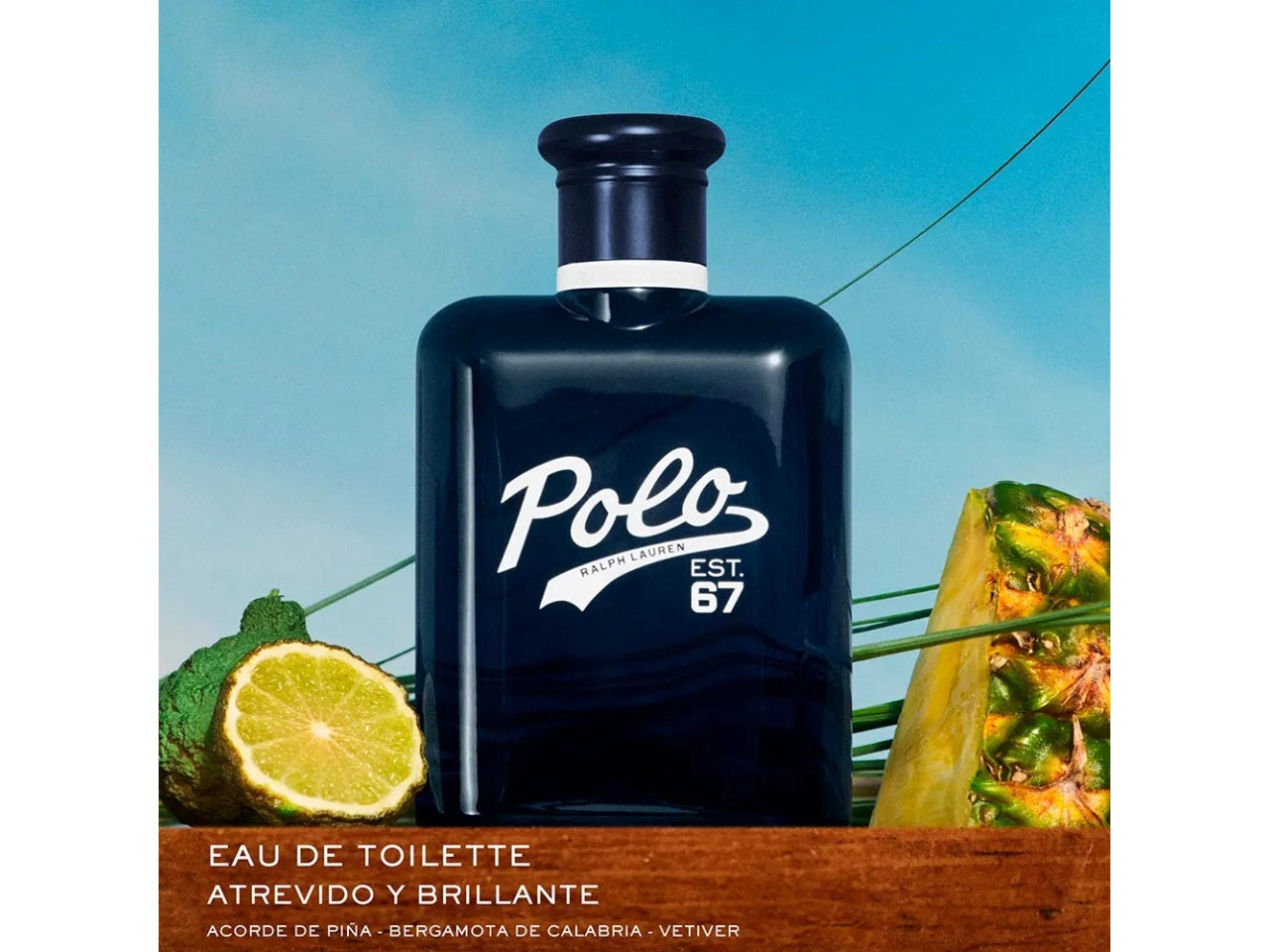 Profumo uomo Ralph lauren polo 67 eau de toilette 75ml $