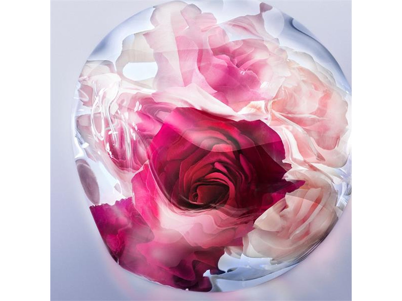 Lancome la vie est belle rose extraordinaire eau de parfum florale formato da 100ml $
