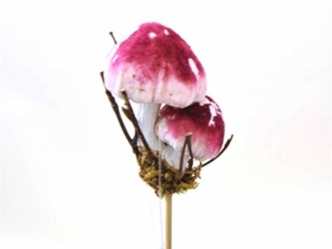 Fungo 9cm su bastoncino