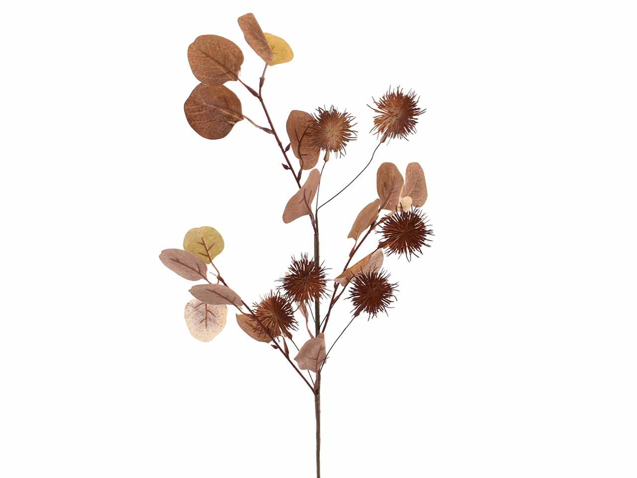 Eucalipto,pom pom ramo 64cm